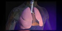 L'asthme expliqué en vidéo