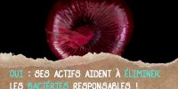 L’oignon contre l'infection urinaire