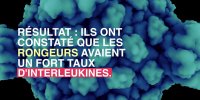 Cancer colorectal : pourquoi l'obésité le favorise-t-elle ?