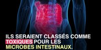 Boissons lights : un danger pour la santé de vos intestins