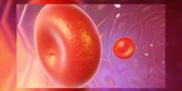 La leucémie aiguë lymphocytaire expliquée en vidéo