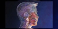 Antihistaminique