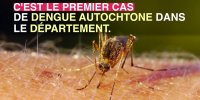 Dengue : un cas autochtone détecté pour la première fois dans l'Hérault