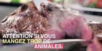 Stéathose hépatique : attention aux protéines animales