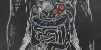 Intestin et probiotiques : l'explication en vidéo
