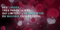 La solution naturelle pour faire baisser son cholestérol