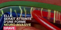 11 personnes victimes du virus West Nile dans les Alpes-Maritimes