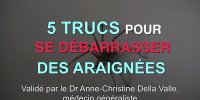 5 astuces naturelles contre les araignées