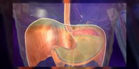 Le RGO (reflux gastro-oesophagien) expliqué en vidéo