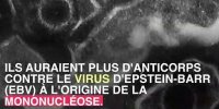 Pourquoi la schizophrénie et la mononucléose pourraient être liées