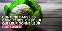 Consommer des choux de Bruxelles pourrait aider à prévenir le cancer