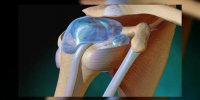 L'anatomie de l'articulation de l'épaule expliquée en vidéo