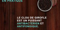 Cicatrisants : 3 solutions naturelles