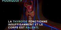 Thyroïde : les symptômes d'un dysfonctionnement