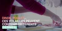 Escalope de volaille : attention au risque d'intoxication alimentaire