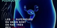 La taille du pénis a-t-elle une importance ?