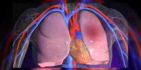 L'embolie pulmonaire expliquée en vidéo
