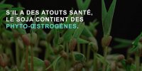 Cancer : 3 plantes à éviter