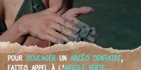 L'argile verte pour soulager l’abcès
