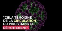 3 cas d'infection au virus West Nile à Nice