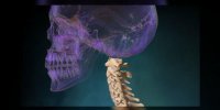 Anatomie de la colonne cervicale