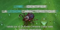 Maladie de Lyme : 3 signes d'alerte