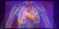 L'hypertension pulmonaire expliquée en vidéo