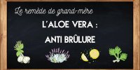 Aloe vera : un hydratant végétal apaisant