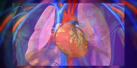 L'hypertension rénale expliquée en vidéo