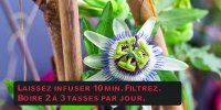 Stress : 5 solutions naturelles
