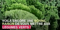 Légumes verts : leur consommation réduirait la graisse autour du foie