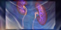 Le cancer de la vessie expliqué en vidéo