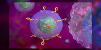 Lupus - maladie autoimmune chronique