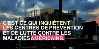 Des tiques asiatiques à l'origine de fièvres hémorragiques mortelles