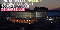 Marseille : nouvelle invasion de punaises de lit
