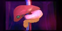 La splénectomie ou ablation chirurgicale de la rate, expliquée en vidéo
