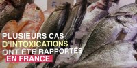 Plusieurs personnes contaminées par un parasite après avoir mangé du poisson cru