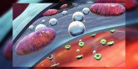 La sclérose latérale amyotrophique (SLA) expliquée en vidéo