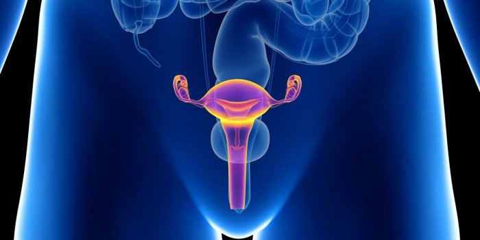 Hpv causes fatigue