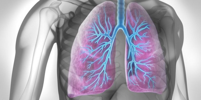 Symptômes du cancer du poumon : quels sont les signes d'alerte ?
