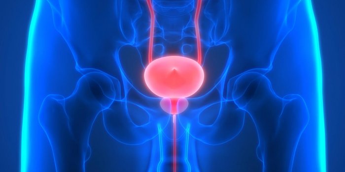 Prostatite et cancer de la prostate : existe-t-il un lien ?