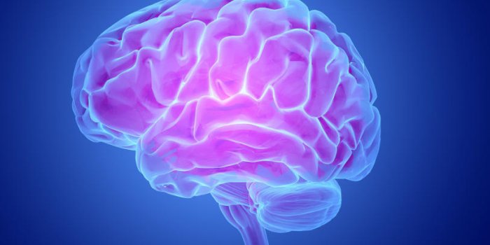 Tumeurs cerebrales : 5 idees recues a ne plus croire