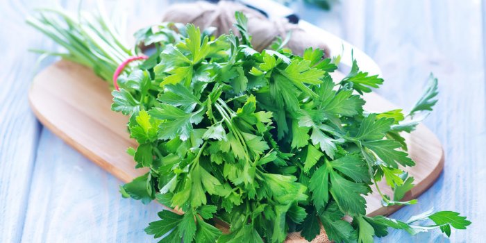 Parsley: a thousand health benefits of parsley,