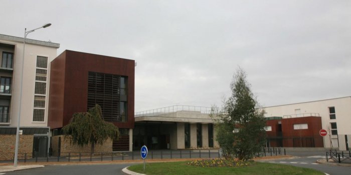 Wikimedia-Nmd