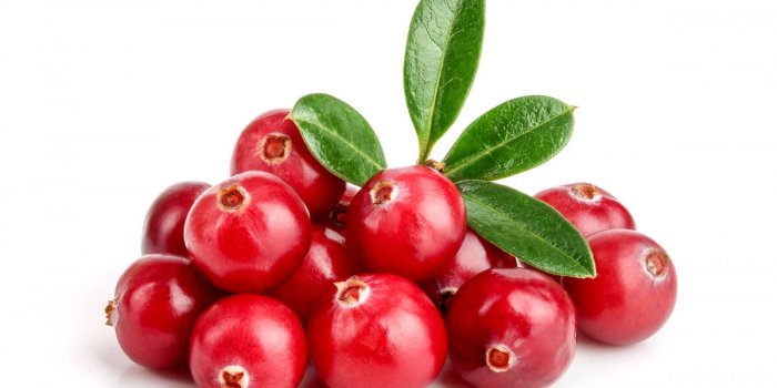 Cranberry et infections urinaires : oui, ca marche !