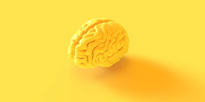 12 signes que vous etes intelligents, selon la science