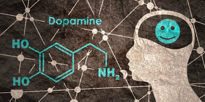 5 signes que vous manquez de dopamine