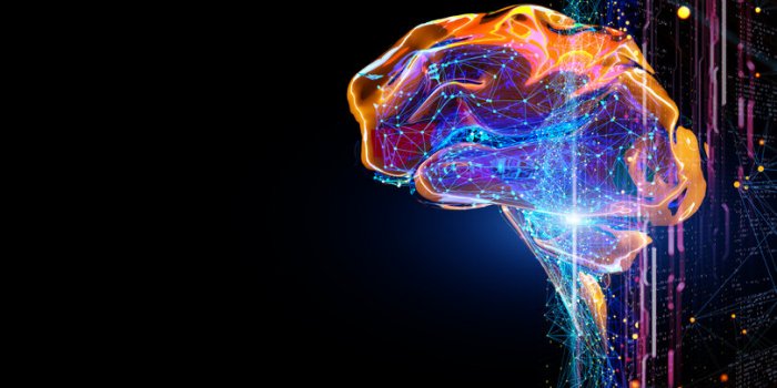 6 moyens de booster son cerveau, selon la science