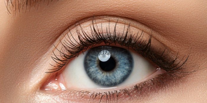 DMLA : 7 aliments mauvais pour les yeux