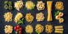 Comment bien cuire les pâtes ?